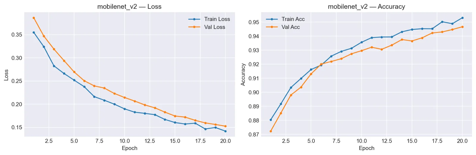 MobileNetV2 training and validation curves