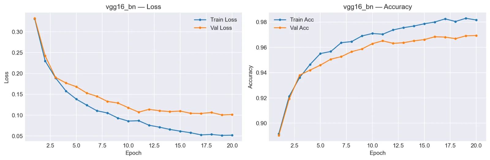 VGG16-BN training and validation curves